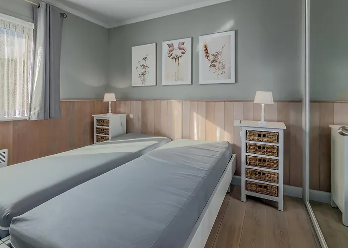 Rietpanne Gv06 Sint-Idesbald